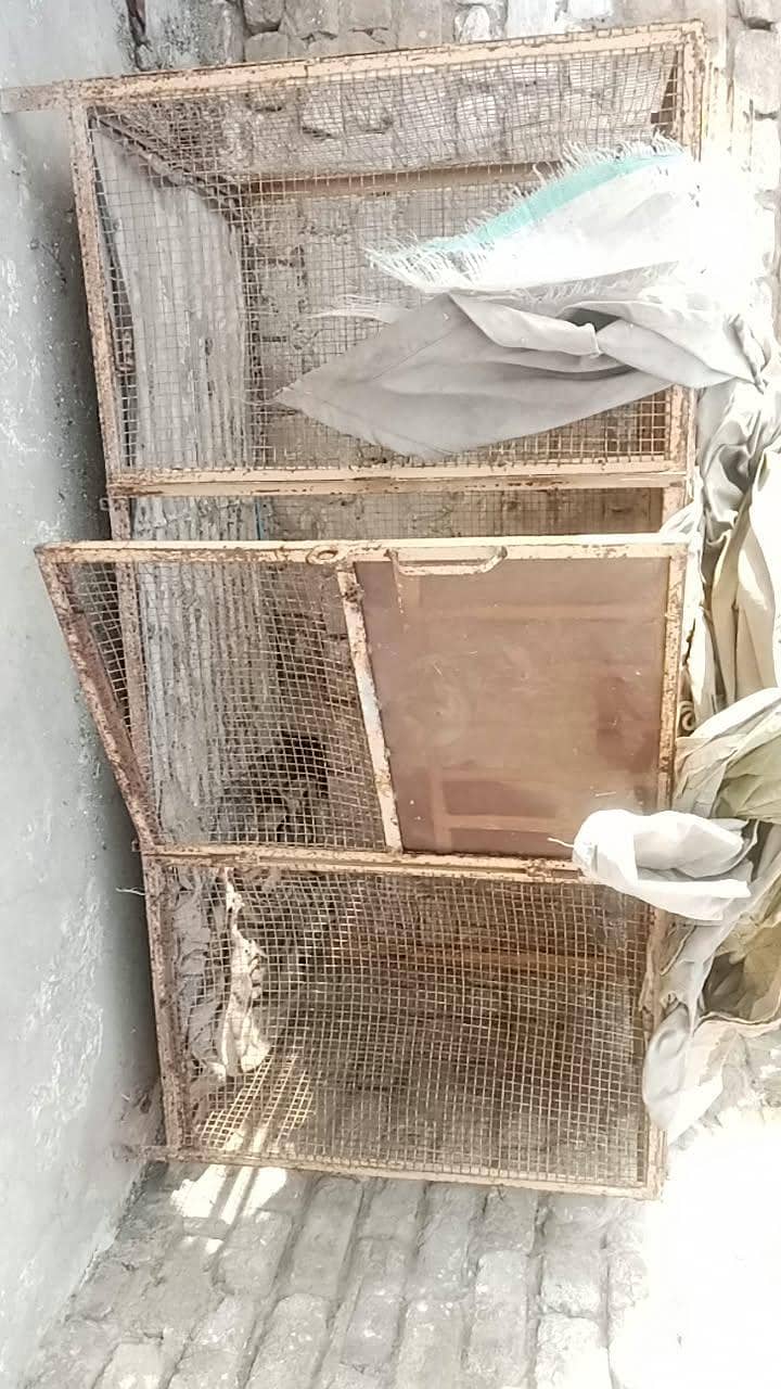 hen's cage 1