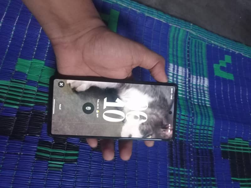 google pixel 6 6