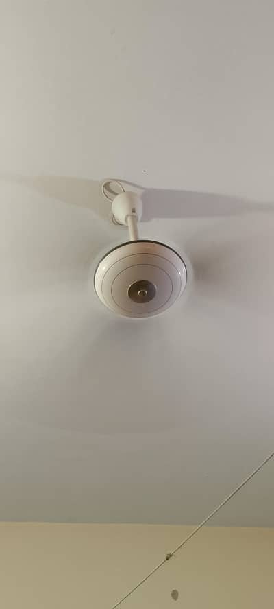 celling fan