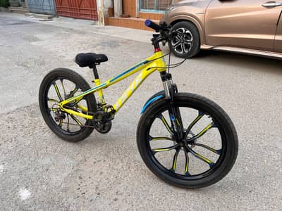 Viper bicycle