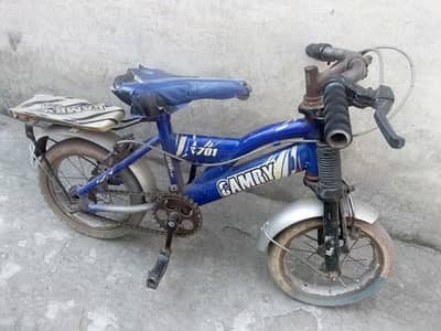 Kids cycle