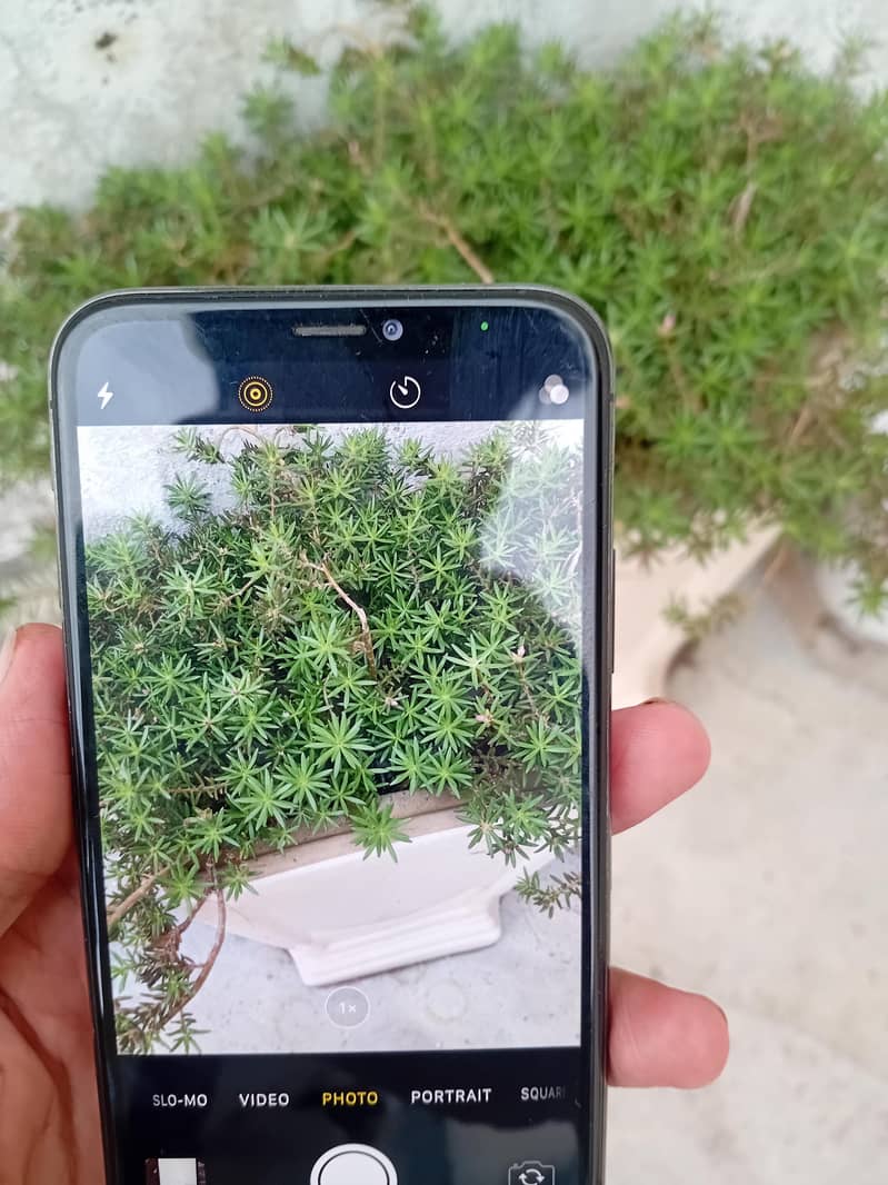 Apple iPhone X 5