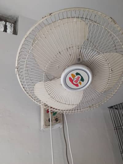 Asia bracket fan