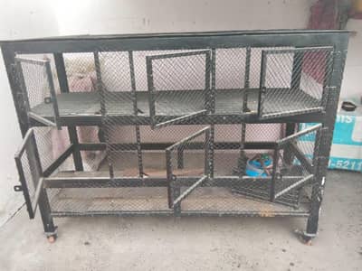 Pinjra For Hens