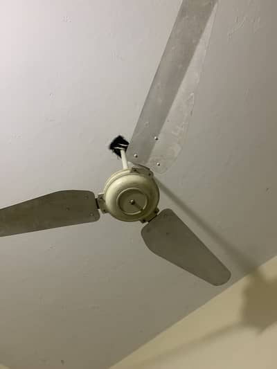 Super asia fan