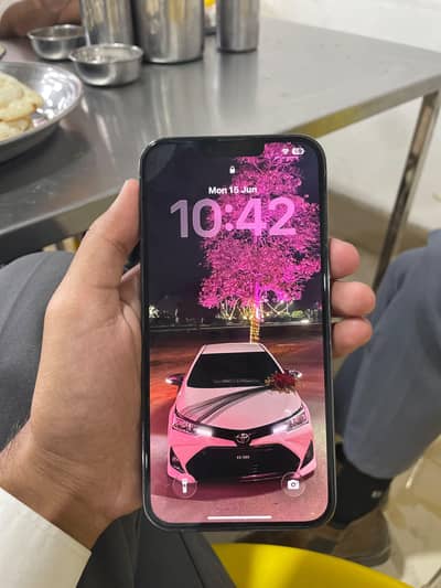 Apple iPhone 13 Pro Max