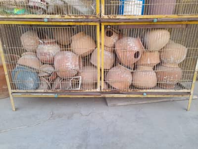 cage or makti