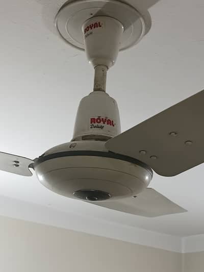 Royal Fan For Sale New Condition Hai