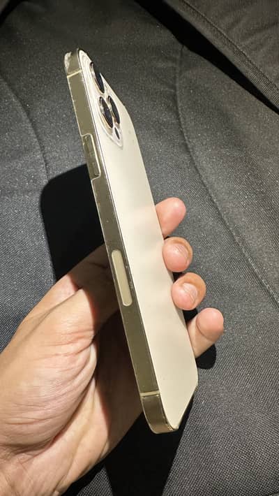 Apple iPhone 12 Pro Max