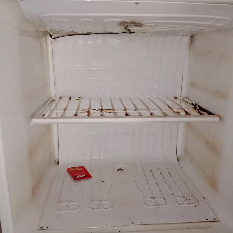 fridge 2
