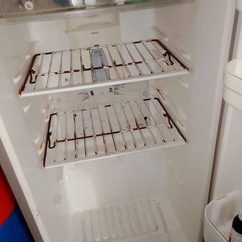 fridge 3