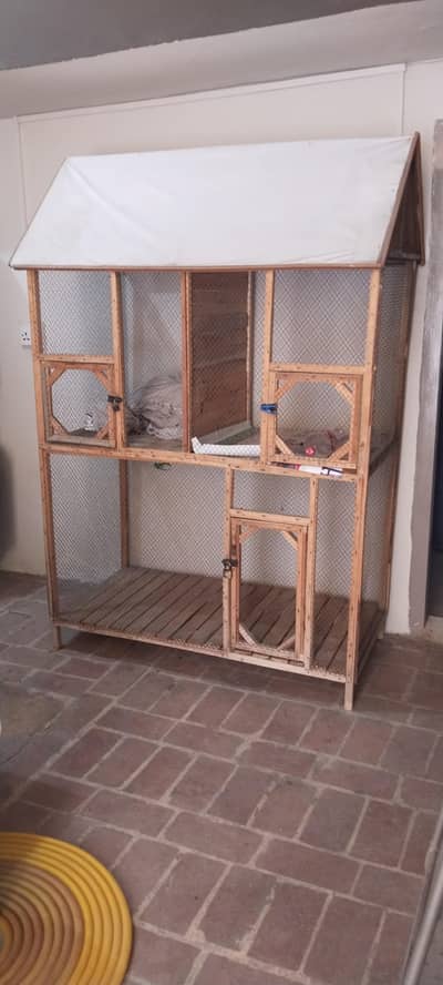Hens and Birds Cage