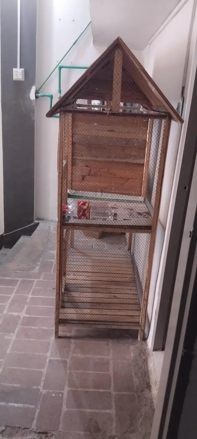 Hens and Birds Cage — photo 3