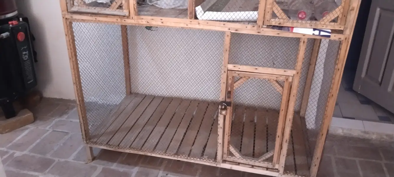 Hens and Birds Cage — photo 5