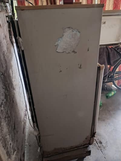Colling 10/10 for sale fridge