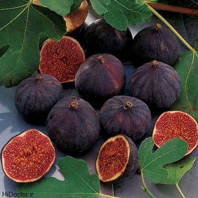 Fresh figs (انجیر) just from tree for sale