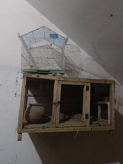 2 super cages