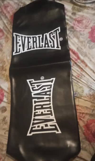 brand. new everlast puching bag call on what app only