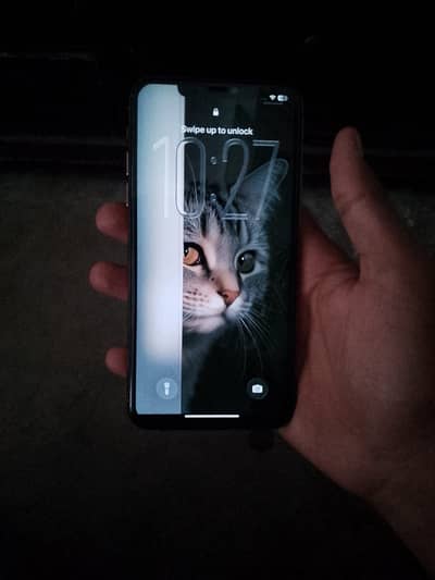Apple iPhone 11 Pro Max