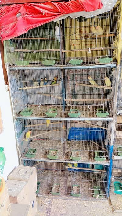 only cage for sale 11k pe cage