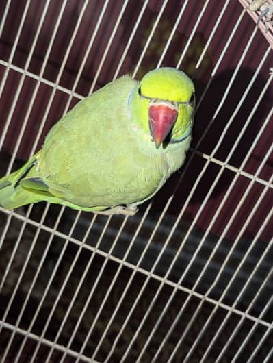 green meethuu