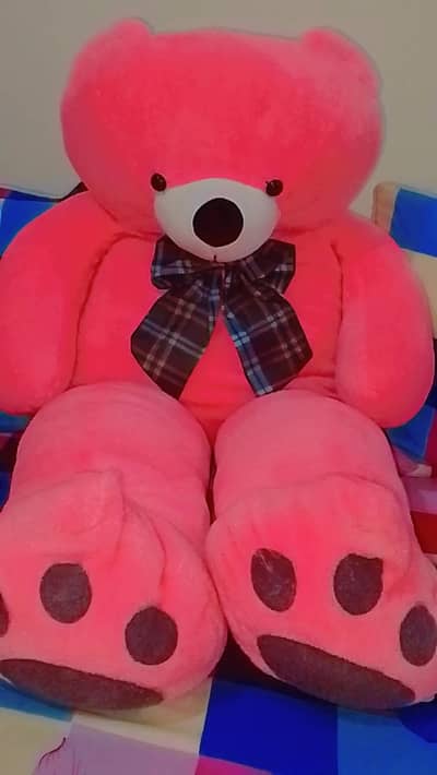 Teddy bear