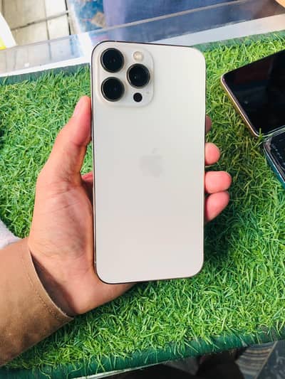 Apple iPhone 13 Pro Max