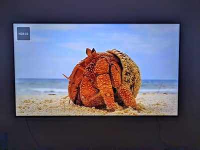TCL C845 55” Mini LED QLED