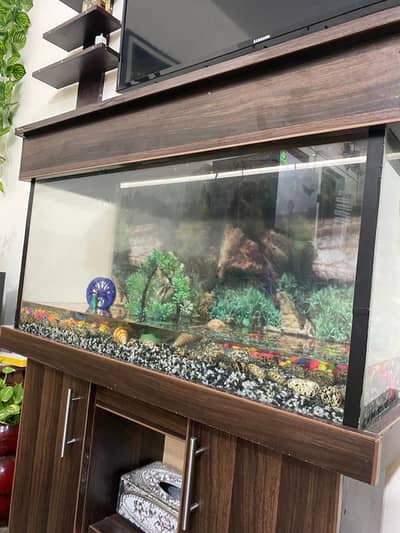 Beautiful Aquarium for sale