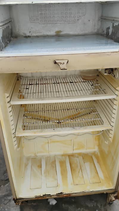 Pel refrigerator for sale