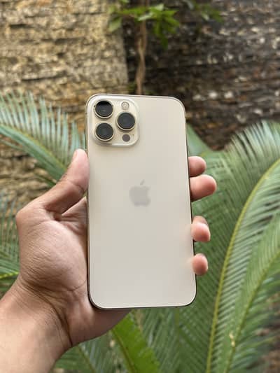 Apple iPhone 13 Pro Max