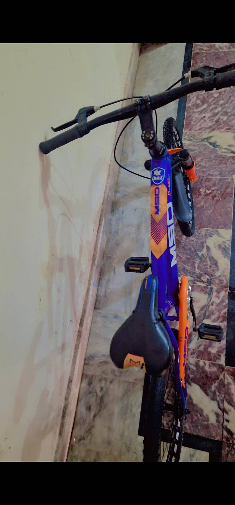 MSD cycle 22" 2