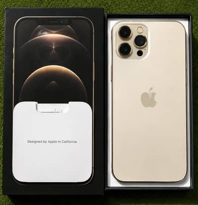 Apple iPhone 12 Pro Max