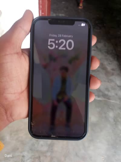 iphone 12 pro max panel