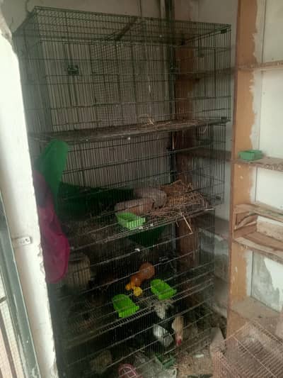 cage for sale