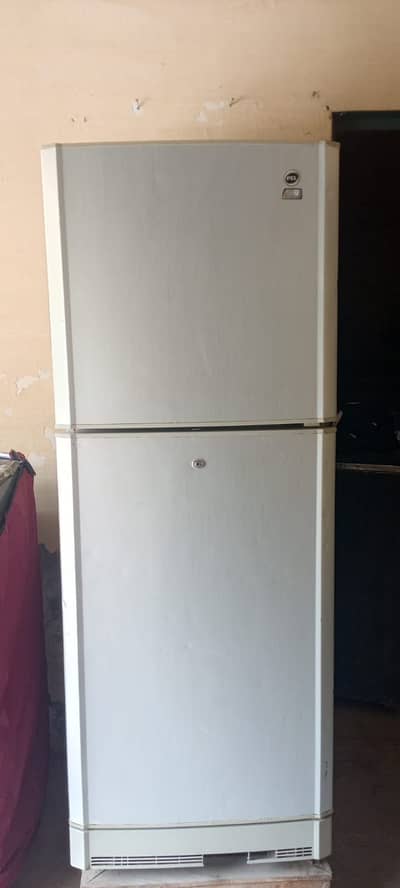 PEL FRIDGE - Medium