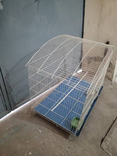 Cage for Birds