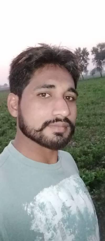 Job miya bivi k lia