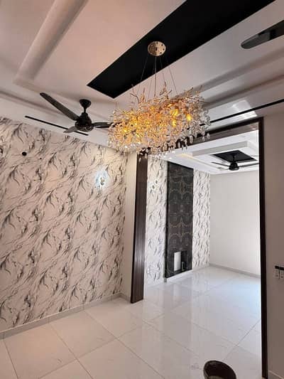 Brand New House Is For Rent