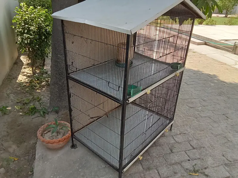 iron cage for burds — photo 2
