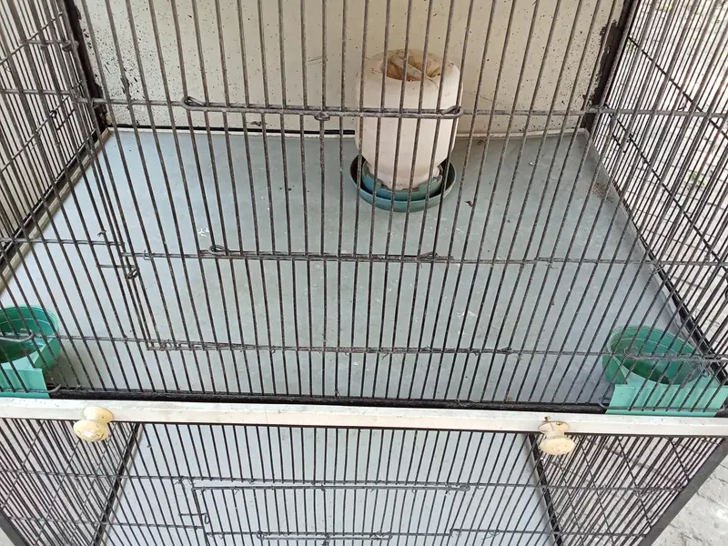 iron cage for burds — photo 3
