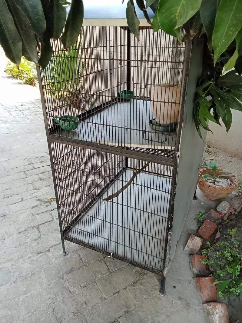 iron cage for burds — photo 4