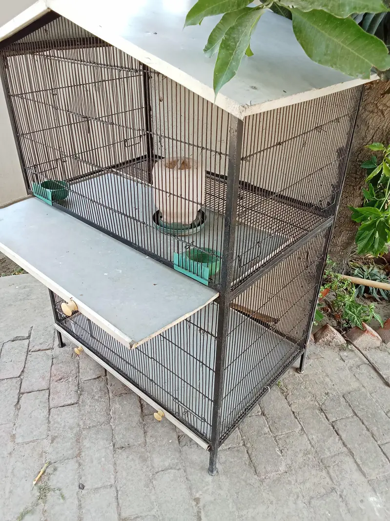 iron cage for burds — photo 5