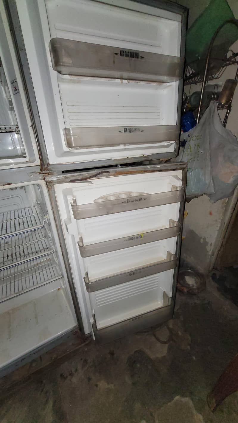 frige 1