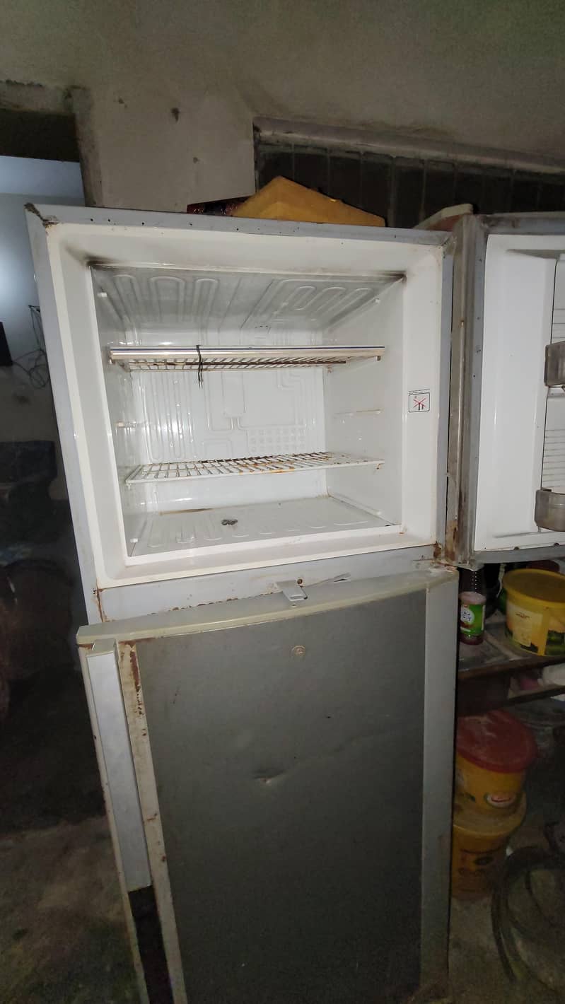 frige 5