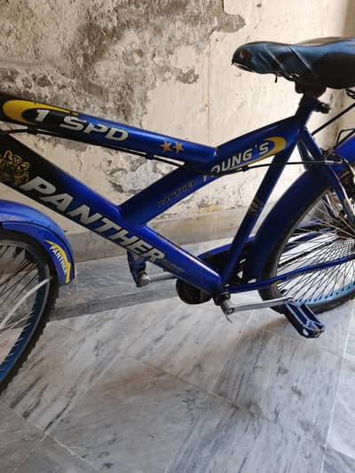 Cycle for Sale