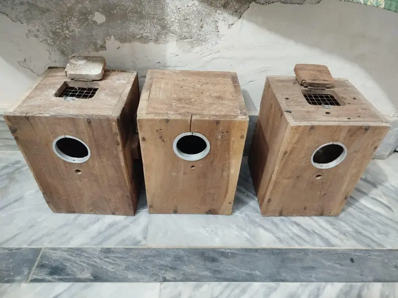 Breeder boxes and cages