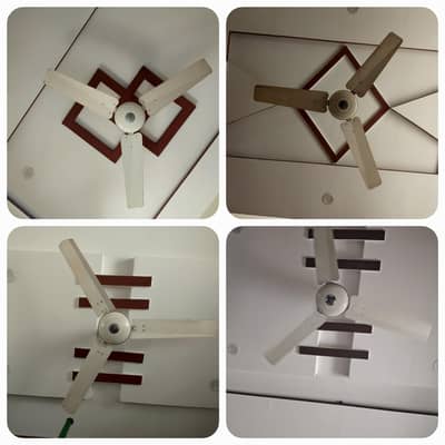4x Fans | 3 pakfans 1 royalfan | 9/10 condition