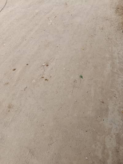 240 Sq Yard Double Story House for Sale KBCHS SECTOR 24-A