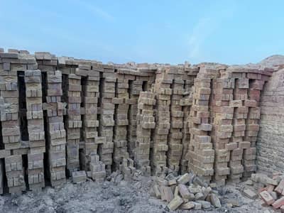 Bhatta bricks for sale / bricks / bricks for sale / awal bricks